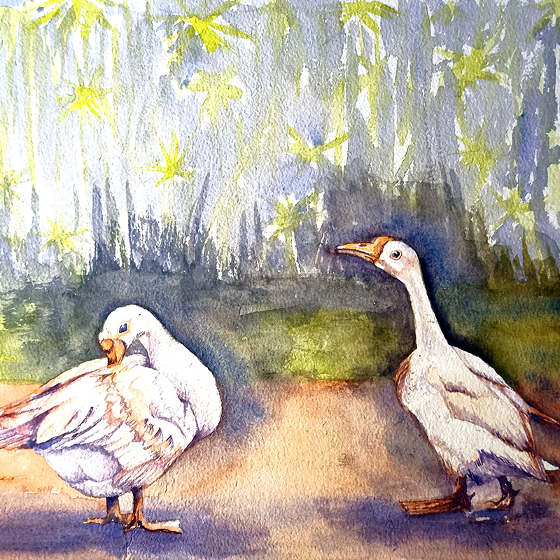 Love Birds - watercolor painting