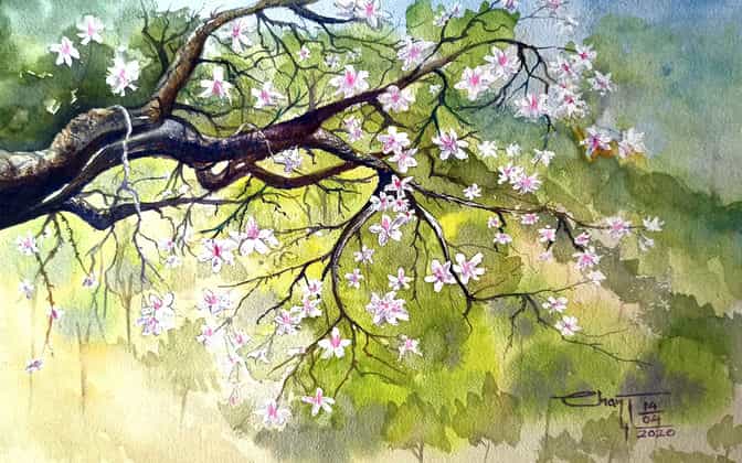 watercolor florals by Chanda Dobriyal
